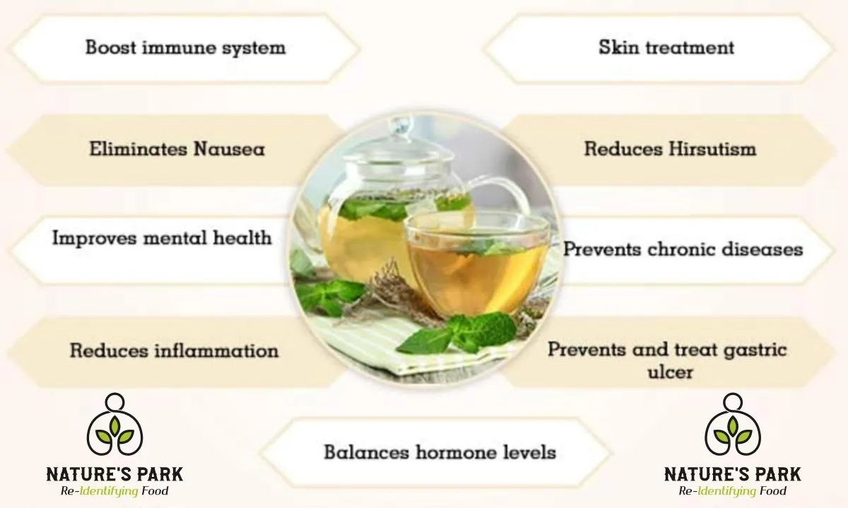 Mint Green Tea Can (100 g)